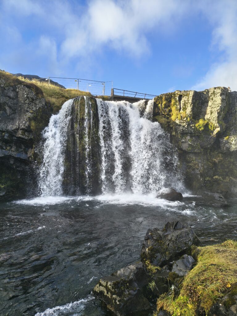 IMG_20251015_131645816_HDR