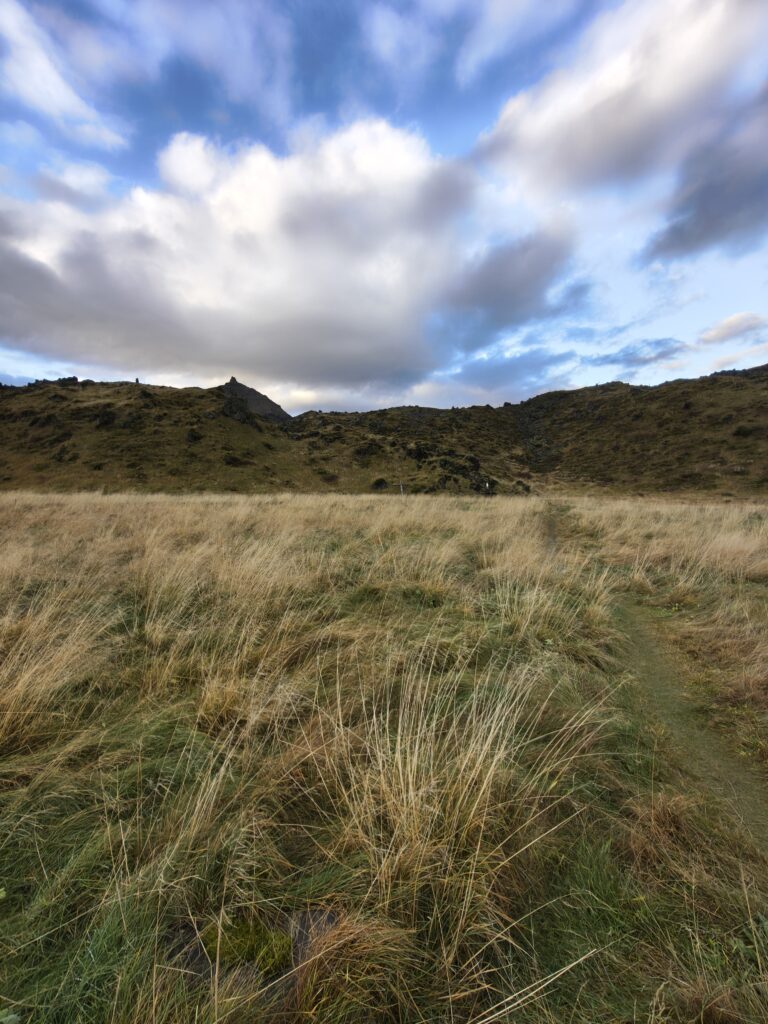IMG_20251015_171828437_HDR