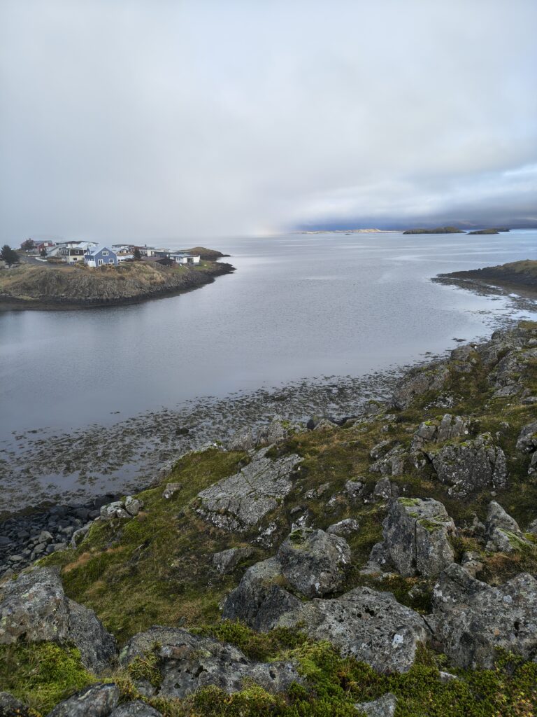 IMG_20251016_132638415_HDR