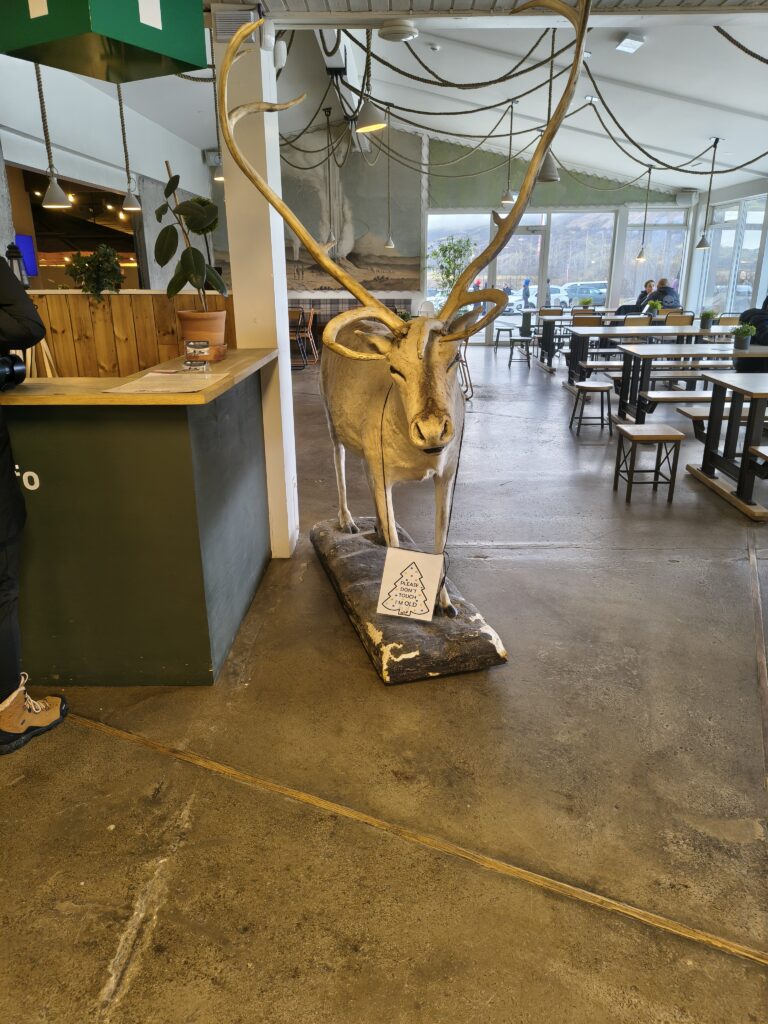 IMG_20251017_145830057_HDR