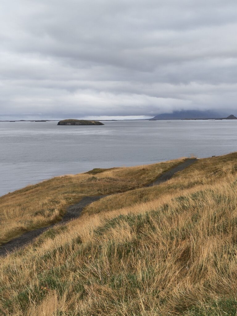IMG_20251018_162647921_HDR